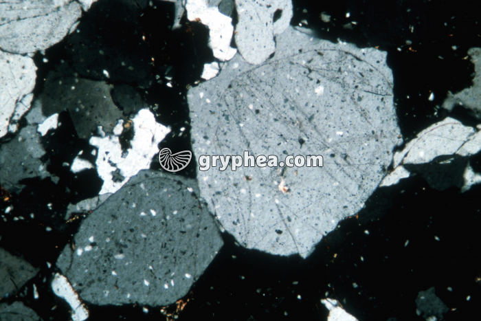 Grès rose LPA x16 - gryphea.com